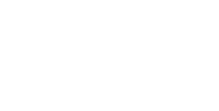 rics-carrusel